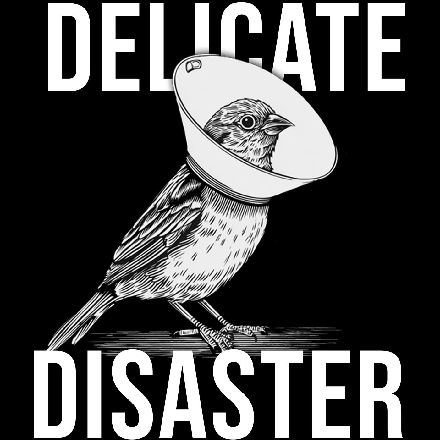 Delicate Disaster, Unisex Heavy Cotton Tee